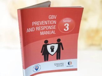 Manual GBV 3